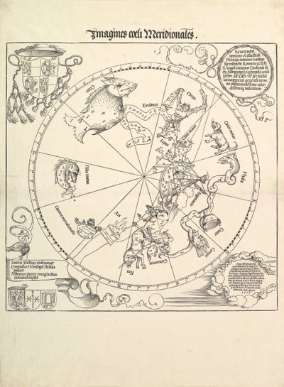 Nebeský glóbus – jižní polokoule, 1515. od Albrecht Dürer