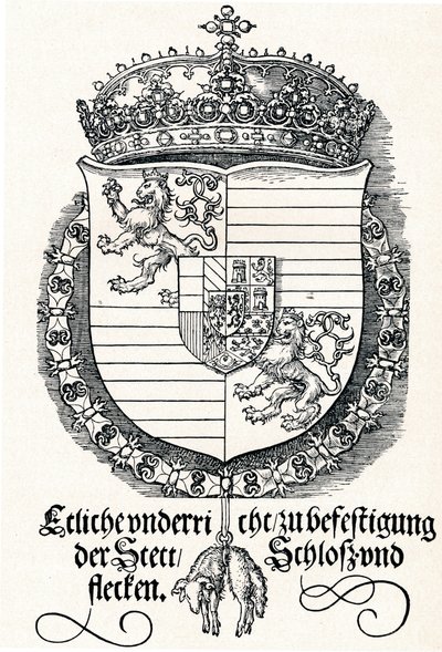 Erb Ferdinanda I., krále uherského a českého, 1527 1906 od Albrecht Dürer
