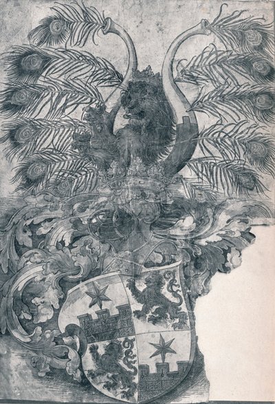 Erb Wilhelma a Wolfganga Roggendorffových, 1520 1906 od Albrecht Dürer