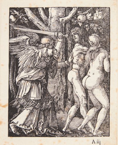  od Albrecht Dürer