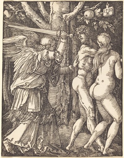  od Albrecht Dürer