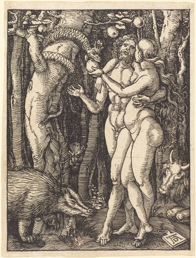  od Albrecht Dürer