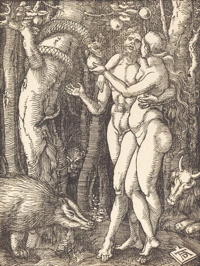 The Fall of Man, pravděpodobně c. 15091510. od Albrecht Dürer