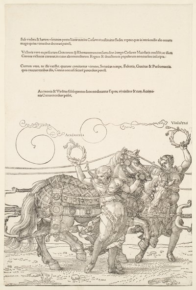  od Albrecht Dürer