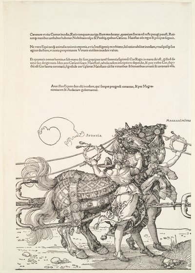  od Albrecht Dürer