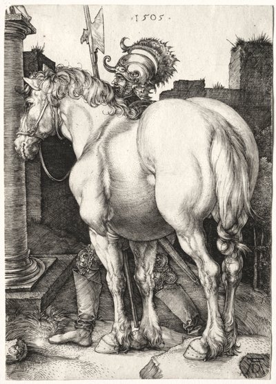 Velký kůň od Albrecht Dürer