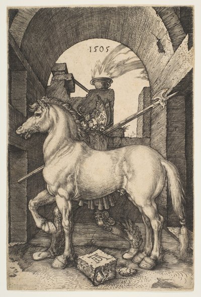 Malý kůň, 1505. od Albrecht Dürer