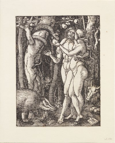 Malé pašije: Pád člověka od Albrecht Dürer