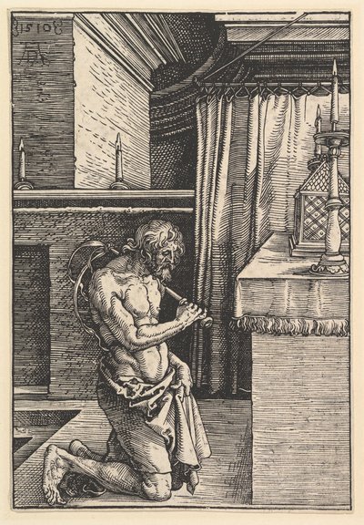Kajícník, 1510. od Albrecht Dürer