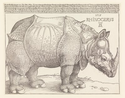 Nosorožec od Albrecht Dürer