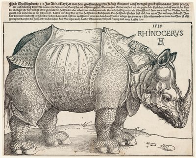 Nosorožec od Albrecht Dürer