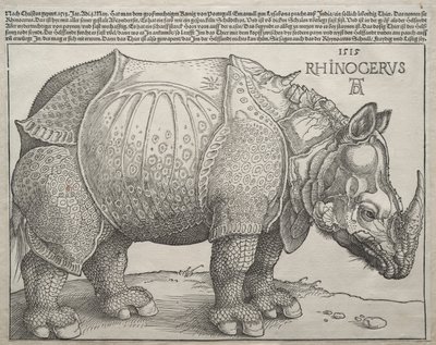 Nosorožec od Albrecht Dürer