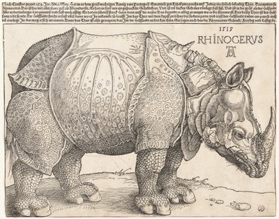Nosorožec od Albrecht Dürer