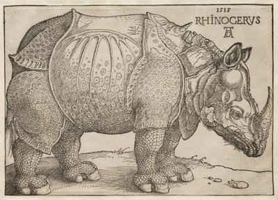 Nosorožec od Albrecht Dürer
