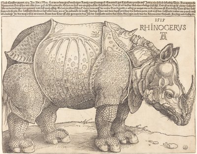 Nosorožec, 1515. od Albrecht Dürer