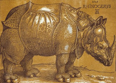 Nosorožec, 1515. od Albrecht Dürer
