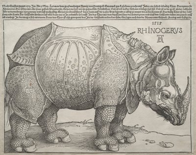 Nosorožec, 1515. od Albrecht Dürer
