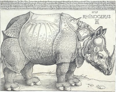 Nosorožec, 1515, 1515. od Albrecht Dürer