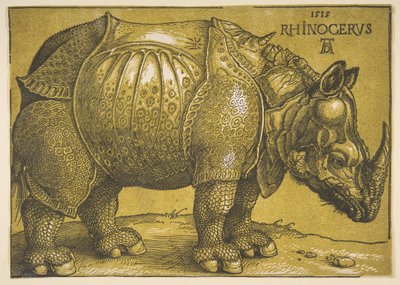 Nosorožec, po roce 1620. od Albrecht Dürer