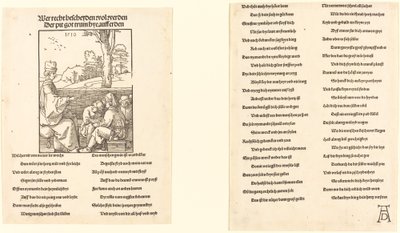 Učitel školy od Albrecht Dürer