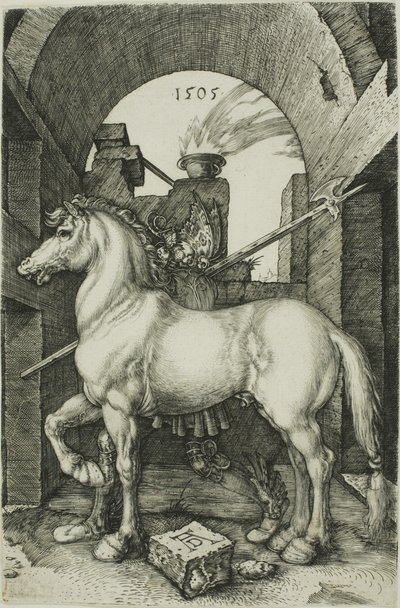 Malý kůň od Albrecht Dürer