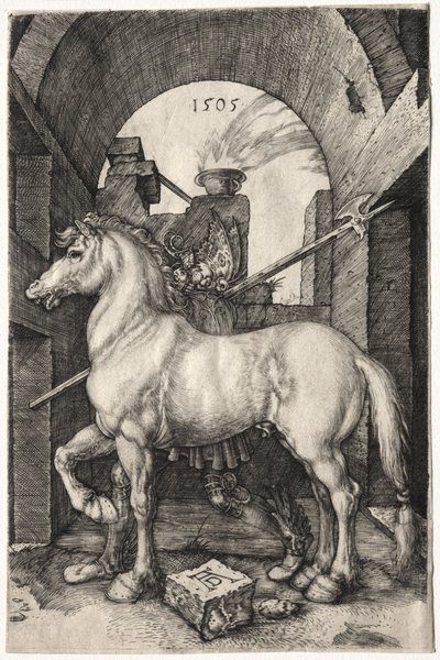 Malý kůň od Albrecht Dürer