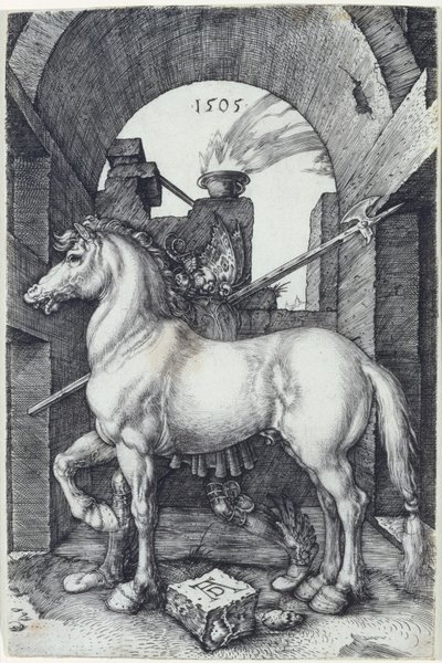 Malý kůň, 1505 od Albrecht Dürer