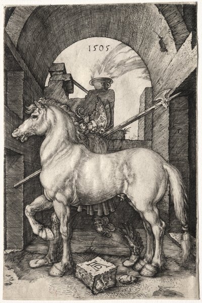 Malý kůň, 1505. od Albrecht Dürer