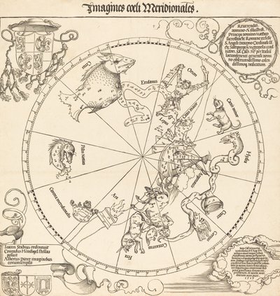Jižní nebeská polokoule, 1515. od Albrecht Dürer
