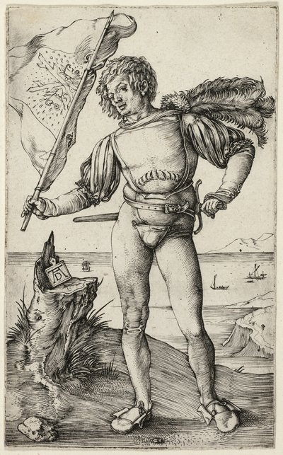 Standardní nosič od Albrecht Dürer