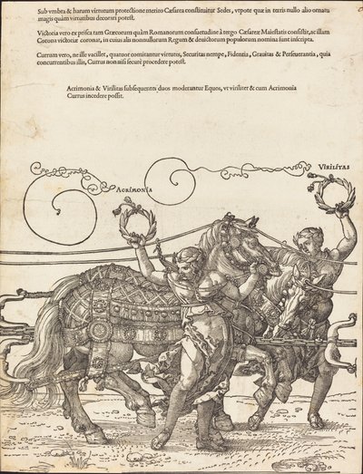 Triumfální vůz Maxmiliána I. (Velký triumfální vůz) [deska 6 z 8] od Albrecht Dürer