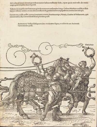 Triumfální vůz Maxmiliána I. Velký triumfální vůz [deska 6 z 8], 1523 latinské vyd. od Albrecht Dürer