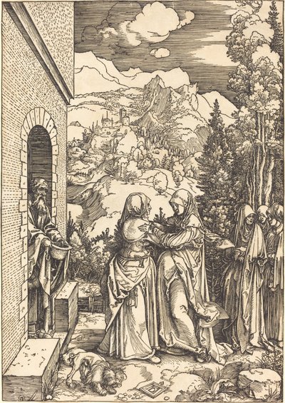 Návštěva od Albrecht Dürer