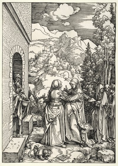 Návštěva od Albrecht Dürer