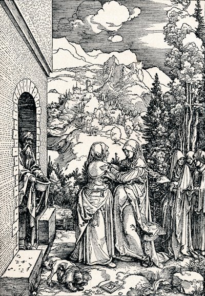 Navštívení, 1506 1906 od Albrecht Dürer