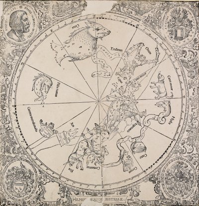 Chelestiální mapa jižní polokoule, počátek 16. století od Albrecht Dürer