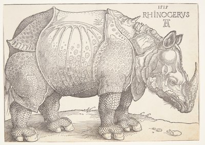 Nosorožec od Albrecht Dürer