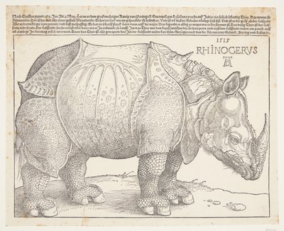 Nosorožec od Albrecht Dürer