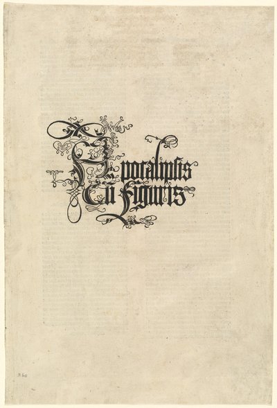 Titulní strana od Albrecht Dürer