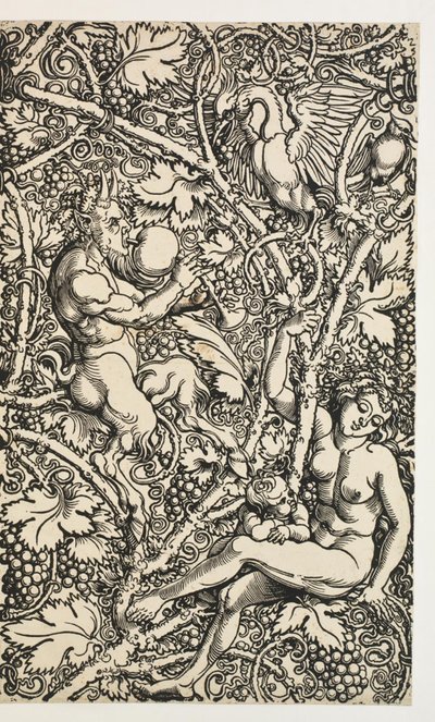 Dva návrhy pro gobelín se satyrfamily od Albrecht Dürer