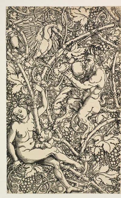 Dva návrhy pro gobelín se satyrfamily od Albrecht Dürer