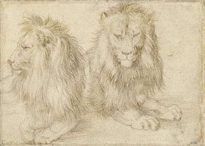 Dva sedící lvi, 1521 od Albrecht Dürer