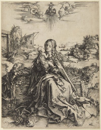 Panna Maria s dítětem a vážkou od Albrecht Dürer
