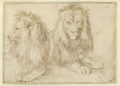  od Albrecht Dürer