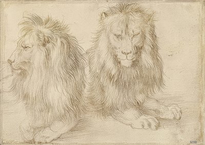 Dva ležící lvi. 1521 od Albrecht Dürer