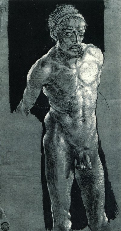 autoportrét v aktu od Albrecht Dürer
