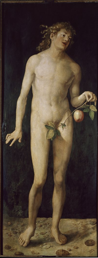 Adam (olej na dřevě od Albrecht Dürer