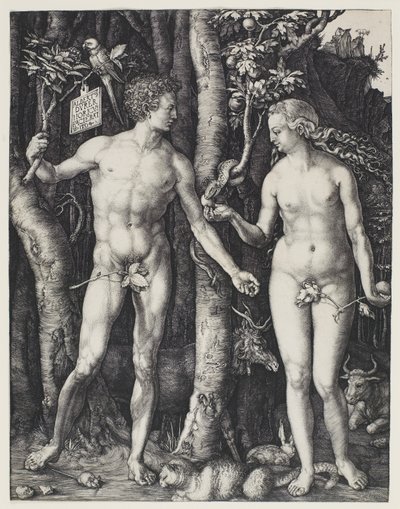Adam a Eva od Albrecht Dürer