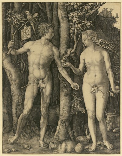 Adam a Eva od Albrecht Dürer