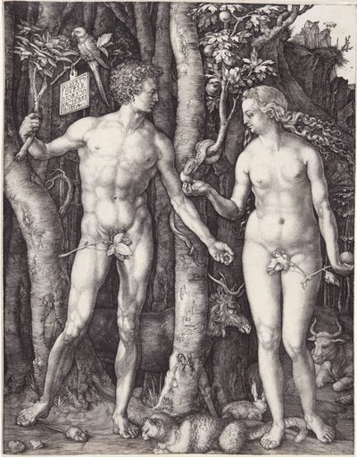 Adam a Eva, hospoda. 1504 (rytina) od Albrecht Dürer